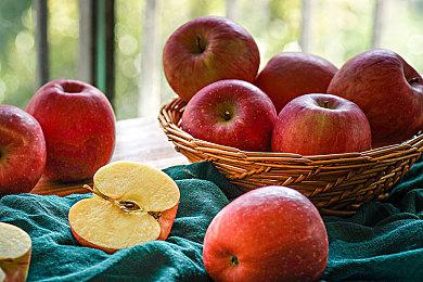 传奇DJ参战 《饿狼传说：群狼之城》公布玩法宣传片